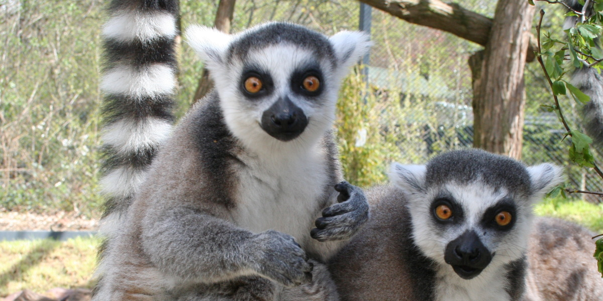 Zoo Saarbrücken